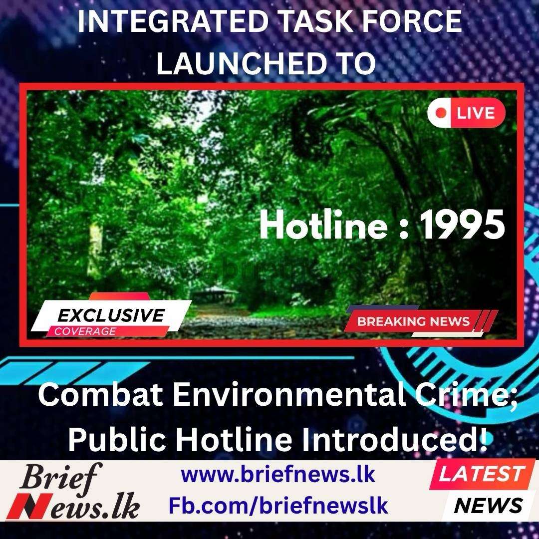 Integrated Task Force Launched to Combat Environmental Crime; Public Hotline Introduced